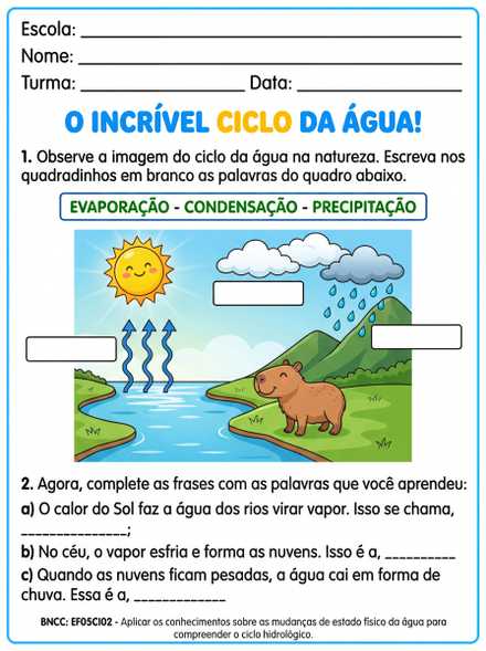 Atividade ciclo da água 3º ano