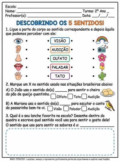ATIVIDADES SOBRE OS 5 SENTIDOS PARA 2º ANO