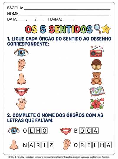 ATIVIDADES SOBRE OS 5 SENTIDOS PARA ALFABETIZAÇÃO