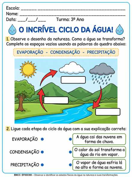 Atividade Ciclo da Água para 3º Ano