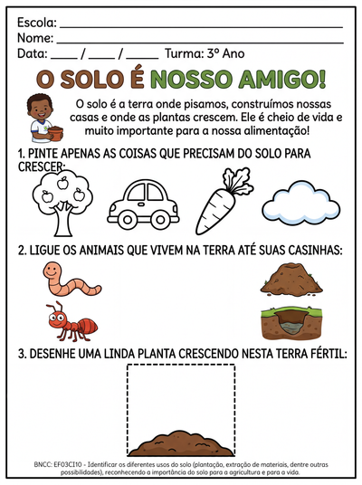Crie uma atividade sobre a importância do solo para alunos com dificuldade no terceiro ano fundamental
