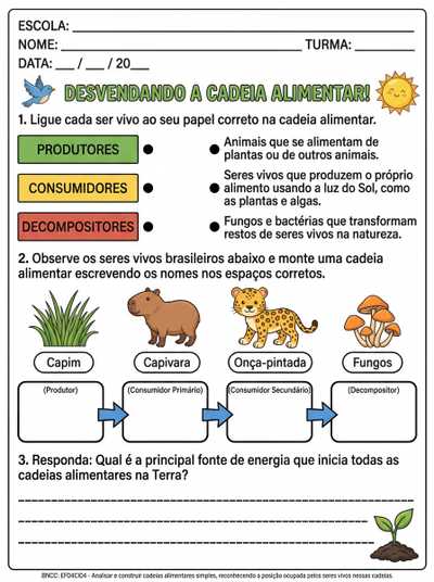 atividade quarto ano sobre cadeia alimentar tipos