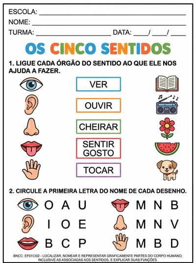 atividade com letra bastão para alfabetização sobre os órgão dos sentidos,