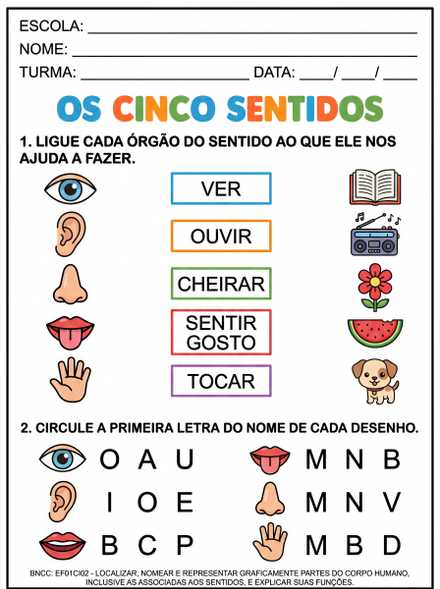 Atividade Os Cinco Sentidos com Ligação e Primeir…