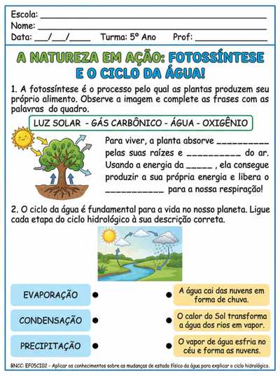 fotossintese e ciclo d agua 5 ano