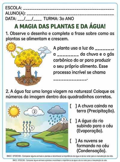 ciencias fotossitense e ciclo da agua 3º ano