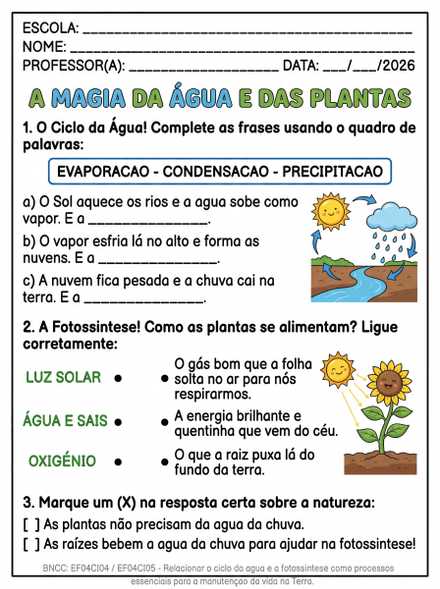 A magia da água e das plantas 4º ano